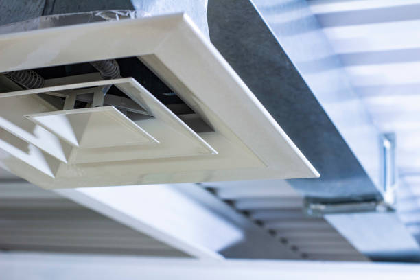 Best Ductwork Cleaning Services  in Gaylord, MN