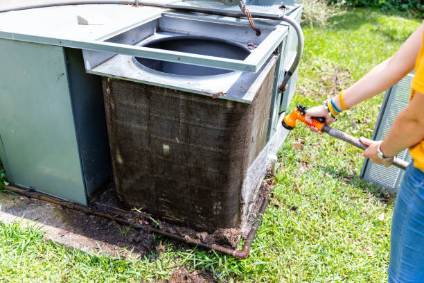 Best Local Air Duct Cleaning Services  in Gaylord, MN