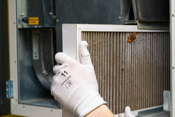 Best Residential Air Duct Cleaning  in Gaylord, MN