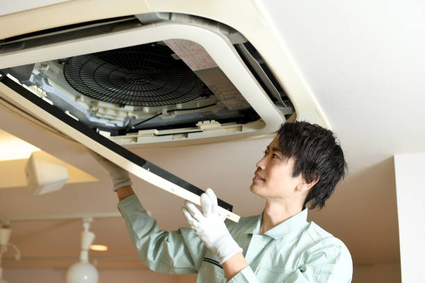 Best Affordable Duct Cleaning Services  in Gaylord, MN