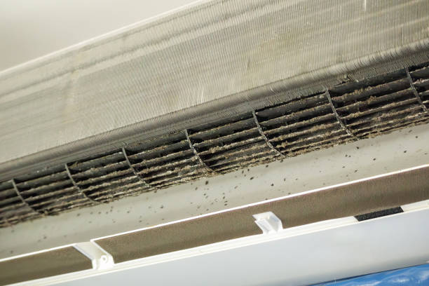 Best Dryer Vent Cleaning Services  in Gaylord, MN
