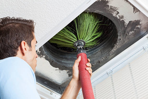Best Home Air Vent Cleaning  in Gaylord, MN