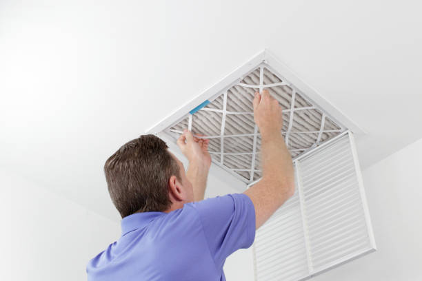 Best Affordable Duct Cleaning Services  in Gaylord, MN